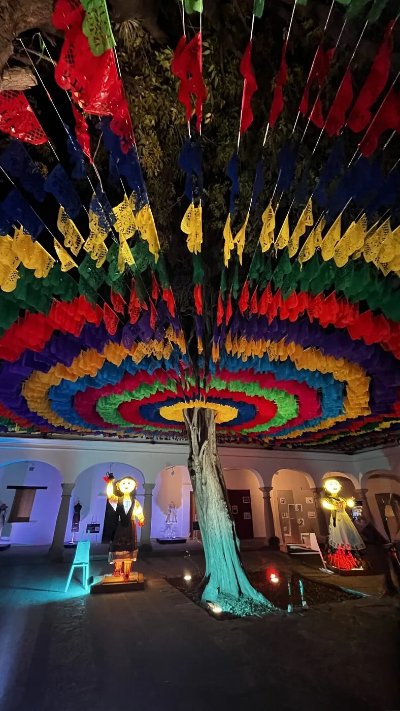 Festival decorations, courtyard tree