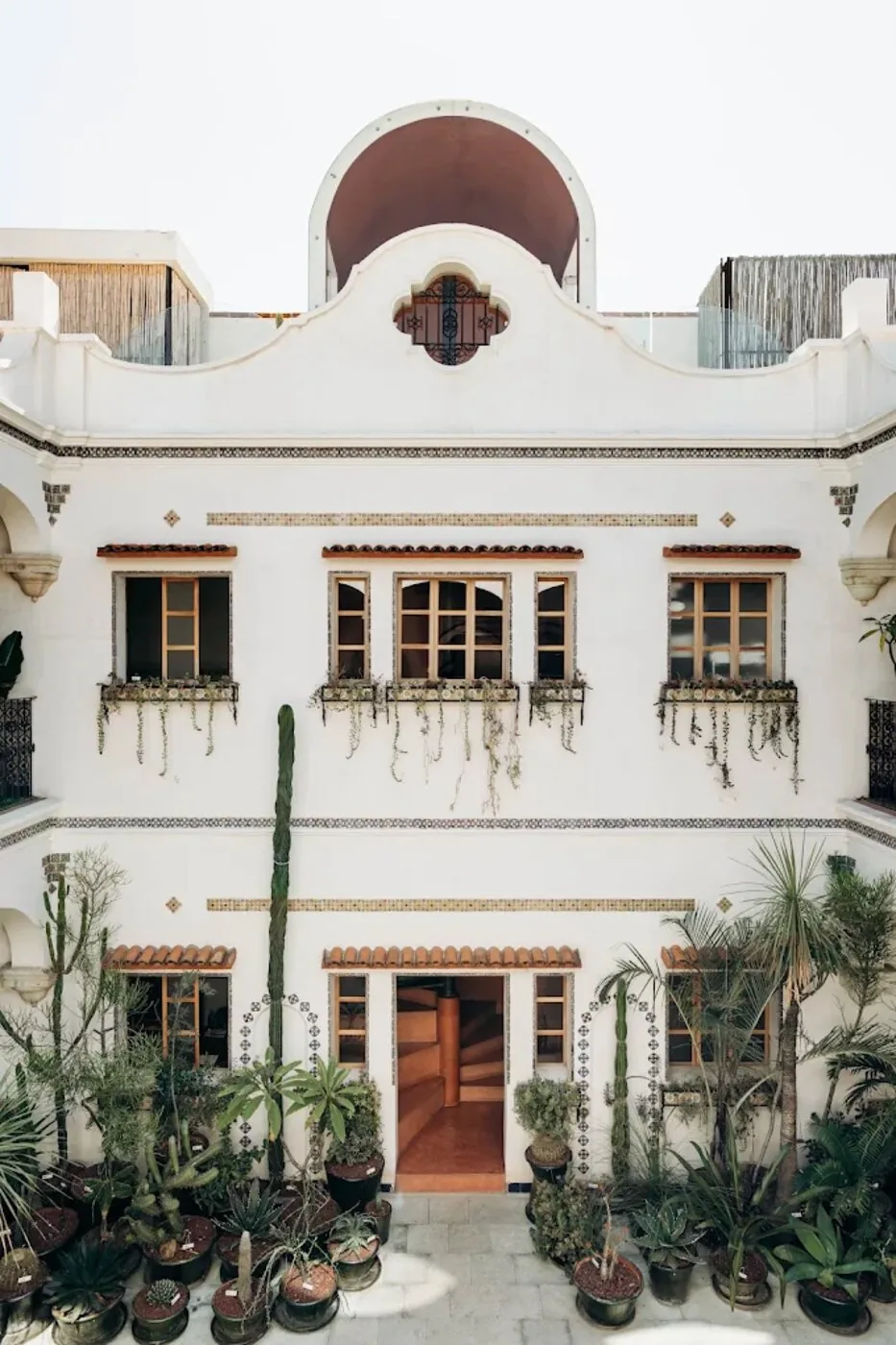 Grana hotel facade with cactus collection